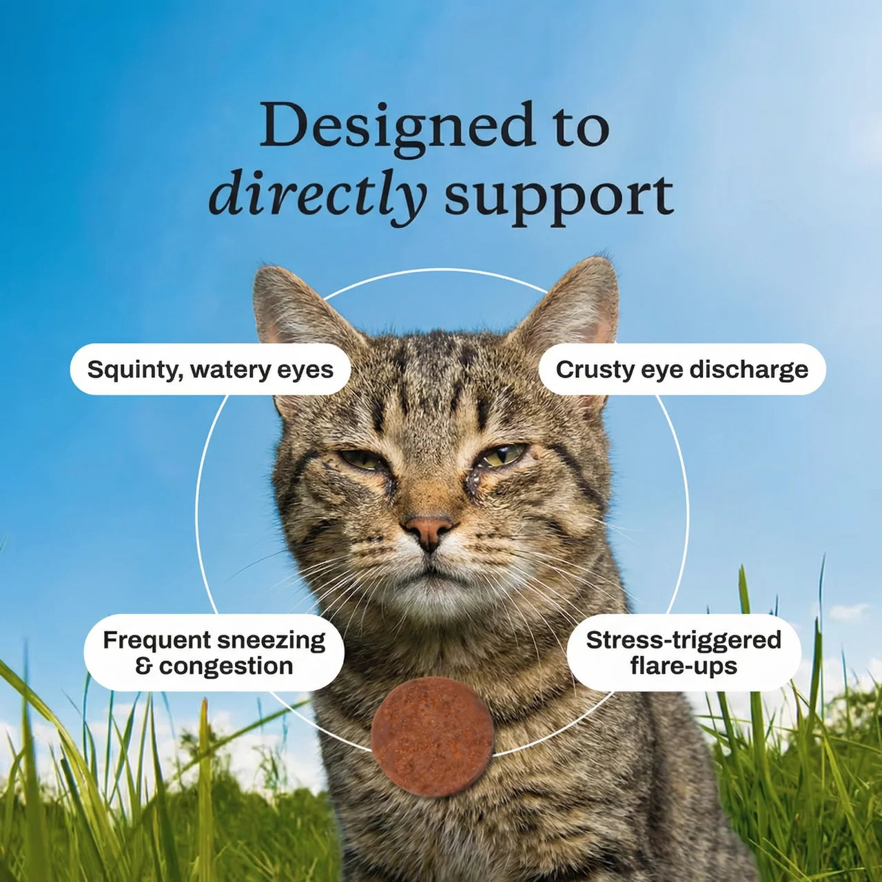 PrimalCat™ Immune & Eye Support Chews