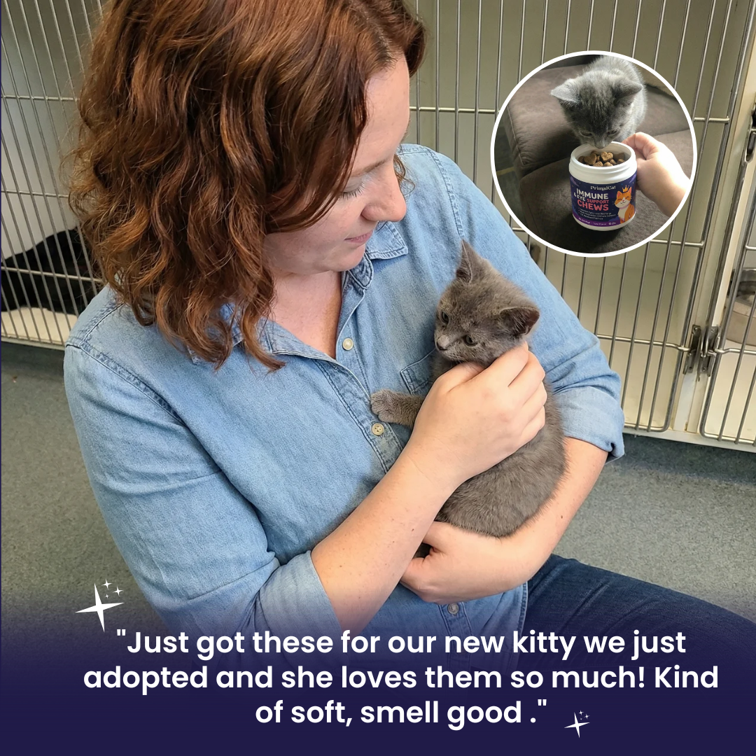 PrimalCat™ Immune & Eye Support Chews